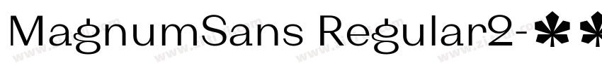 MagnumSans Regular2字体转换